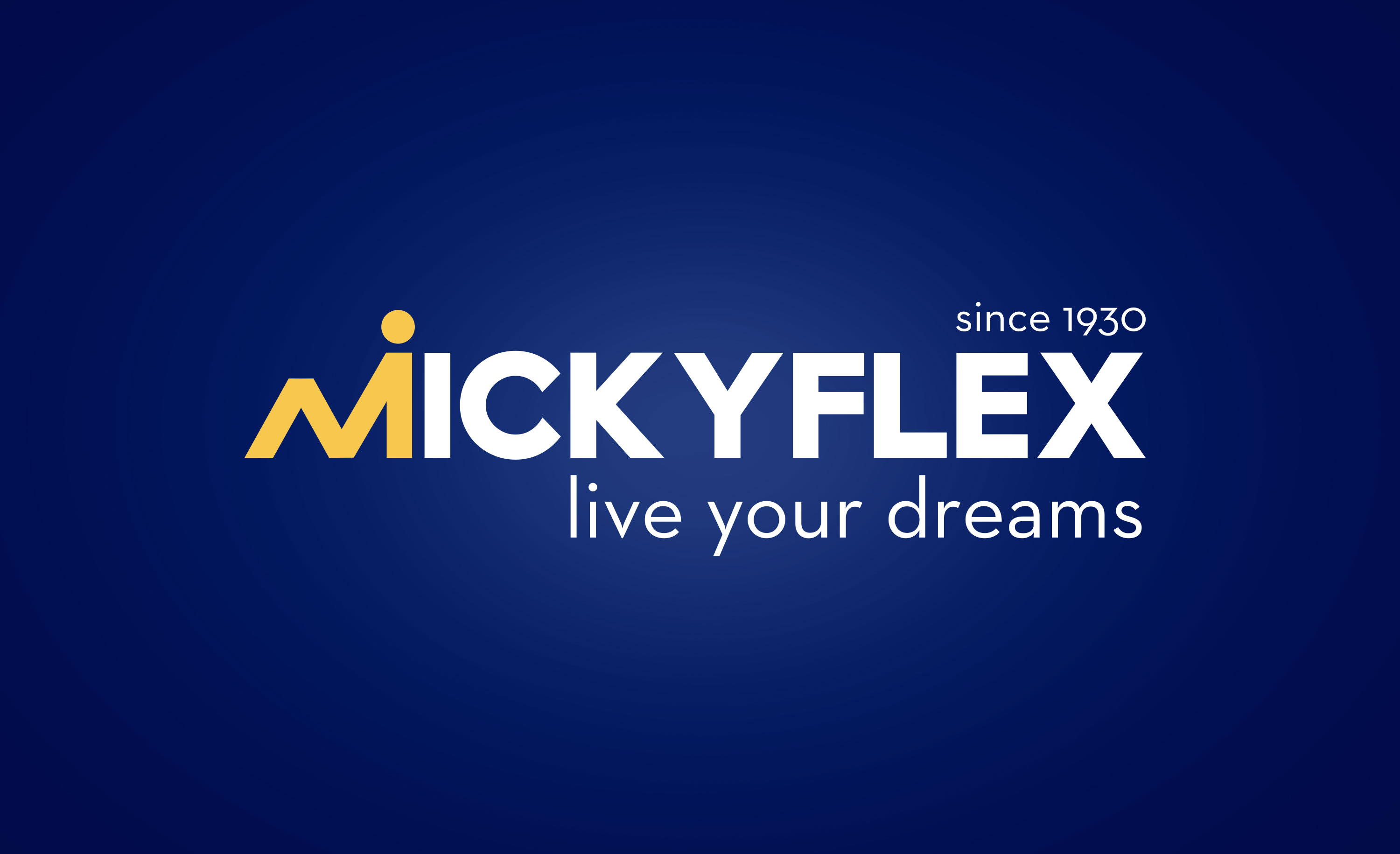 MICKYFLEX - LOGO E IDENTITÀ